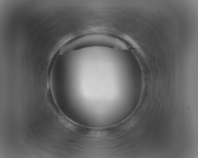 X0000083021269200702091307