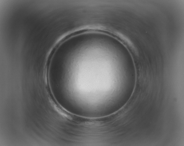 X0000083021272200702091307