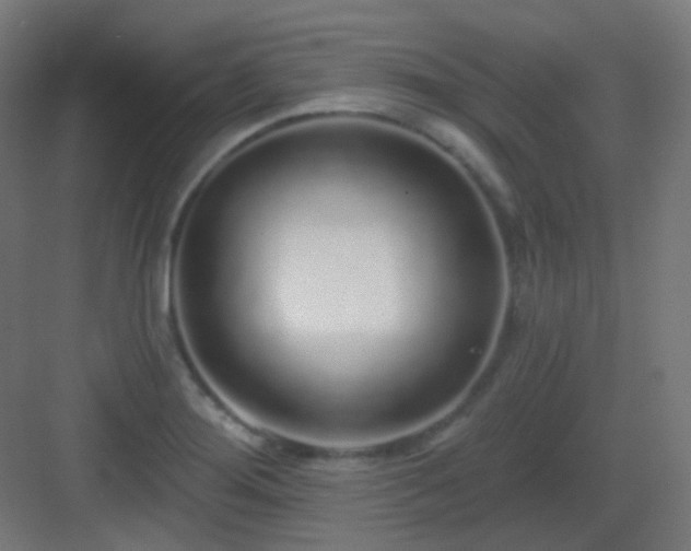 X0000083021276200702091307