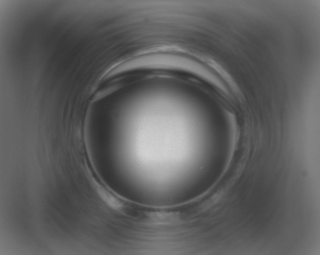 X0000083021281200702091307