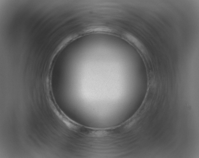 X0000083021282200702091307