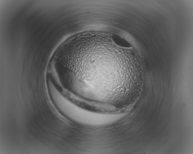 X0000083021283200702091307