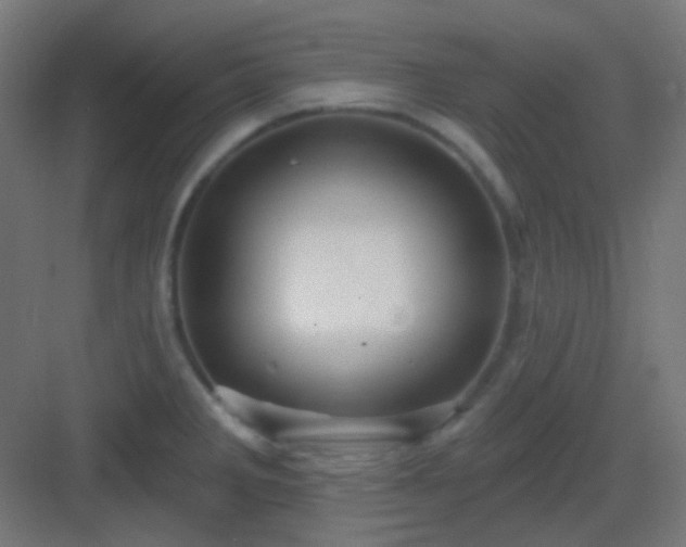 X0000083021285200702091307