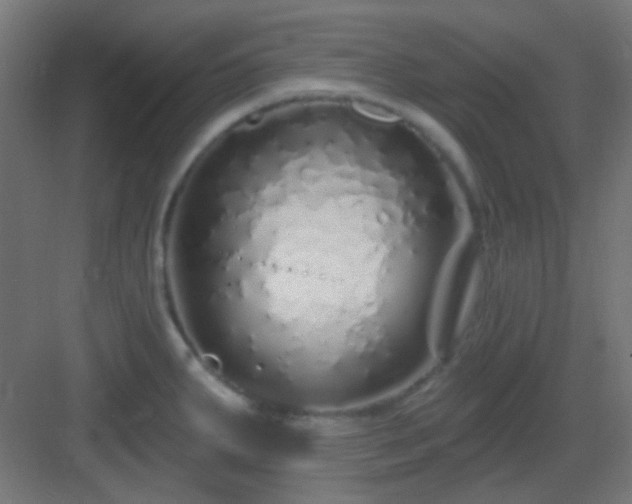 X0000083021287200702091307