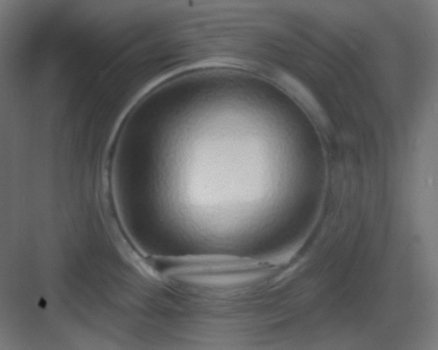 X0000083021292200702091307