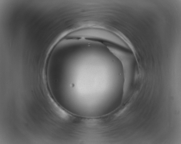 X0000083021293200702091307