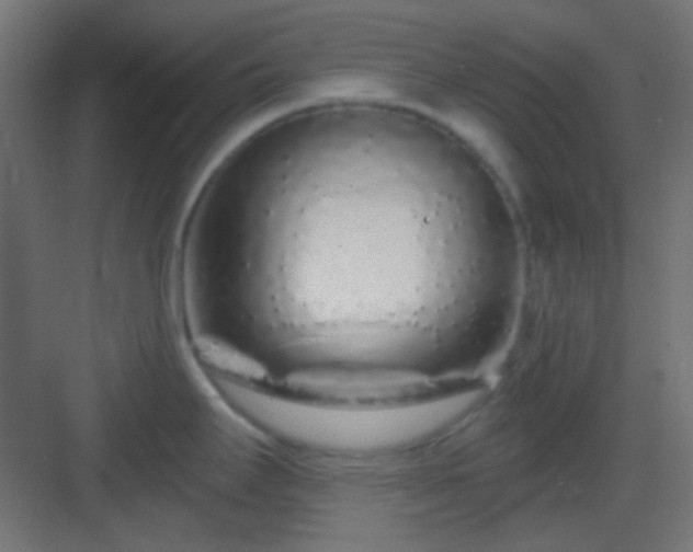 X0000083021295200702091307