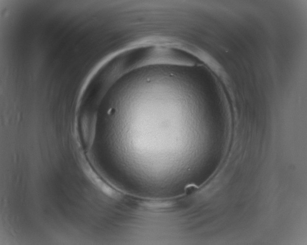 X0000083021296200702091307