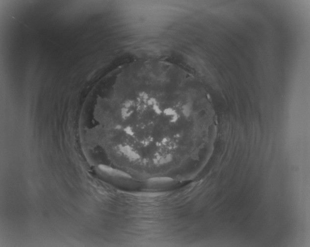 X0000083021297200702091306