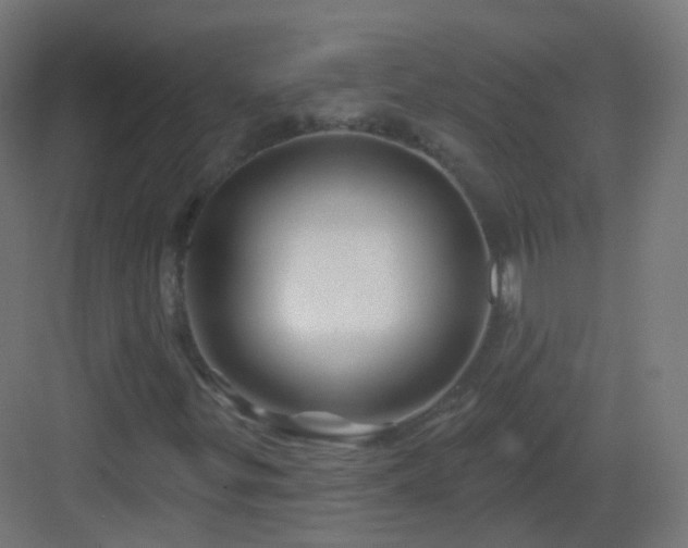 X0000083021299200702091306