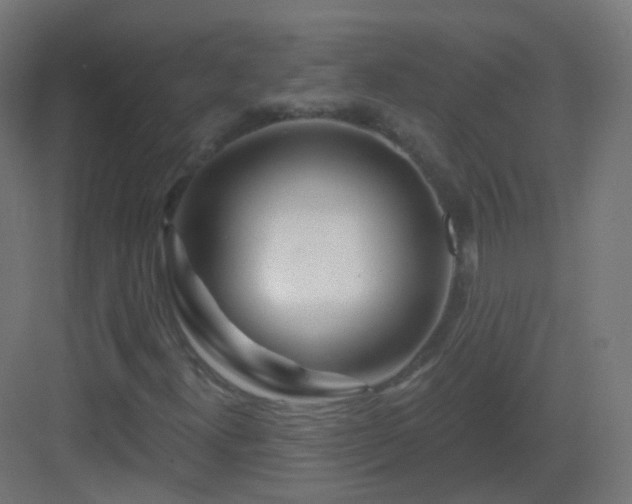X0000083021300200702091306