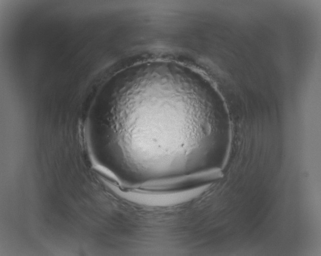 X0000083021302200702091306