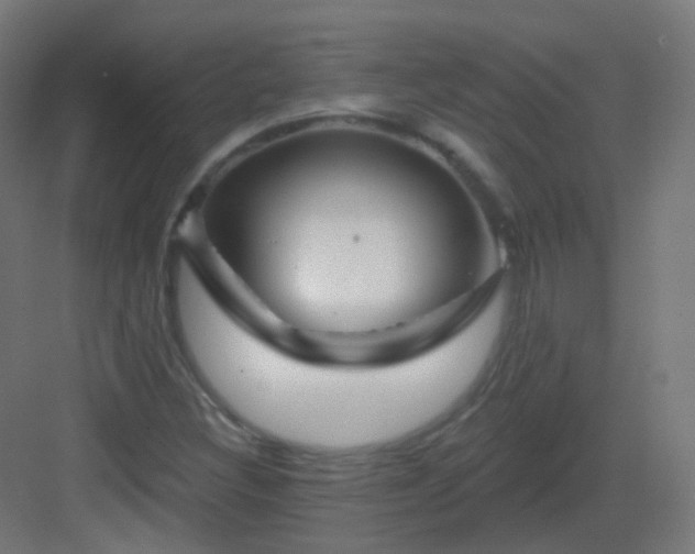 X0000083021308200702091306