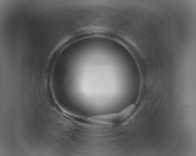 X0000083021309200702091306