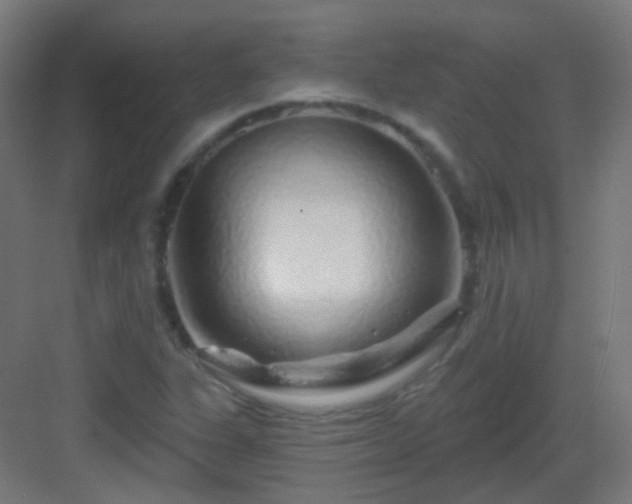 X0000083021311200702091306