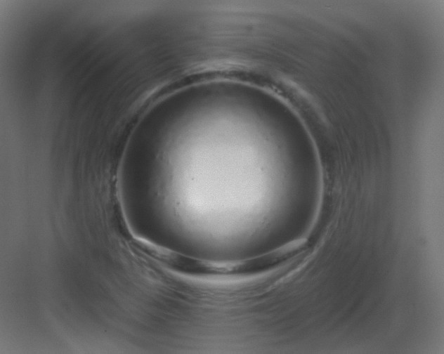 X0000083021313200702091306