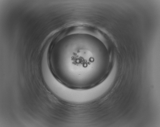 X0000083021314200702091306