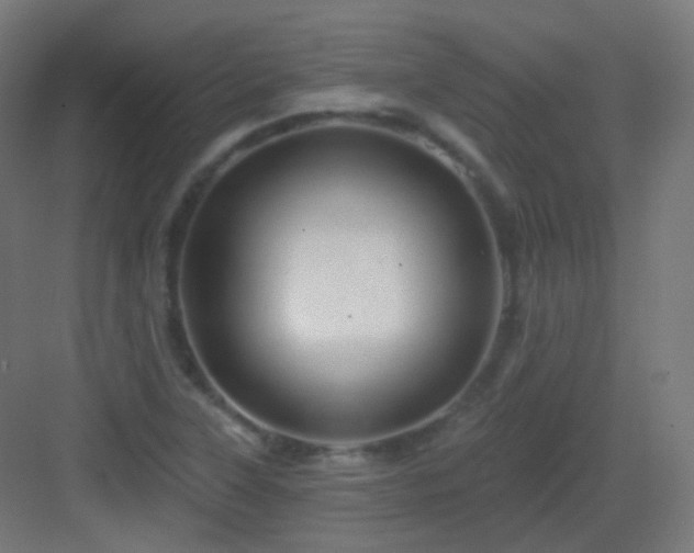 X0000083021315200702091306