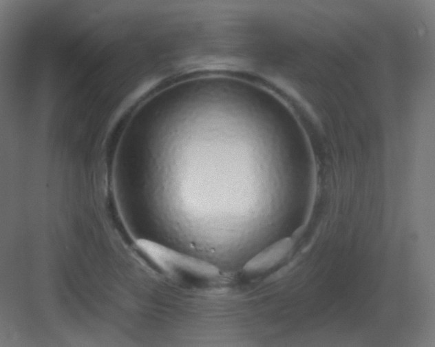 X0000083021317200702091306