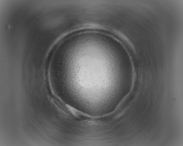 X0000083021318200702091306