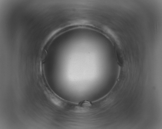 X0000083021320200702091306