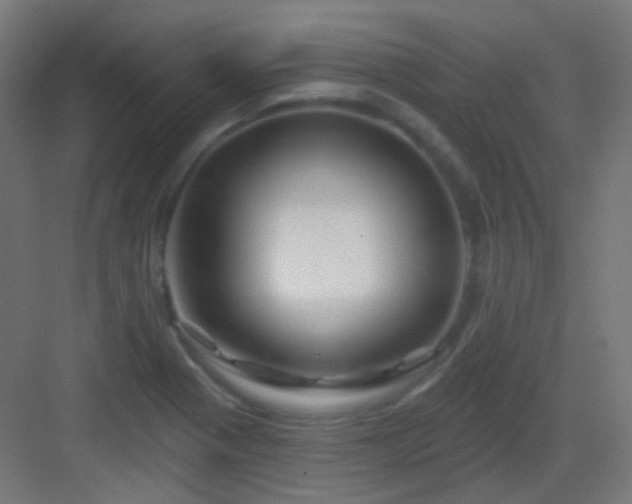 X0000083021321200702091306