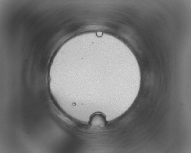 X0000083021322200702091306