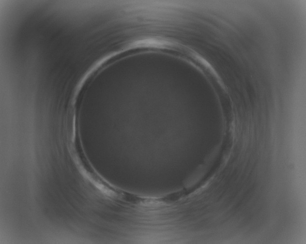 X0000083021323200702091306