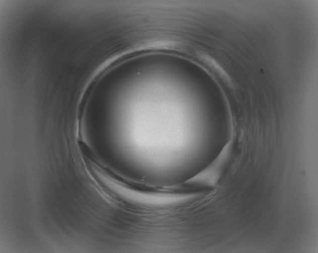 X0000083021324200702091306