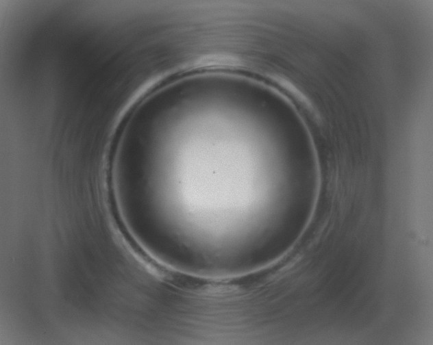 X0000083021325200702091306