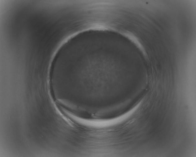 X0000083021327200702091306