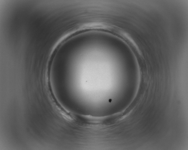 X0000083021328200702091306