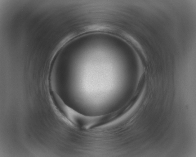 X0000083021330200702091307
