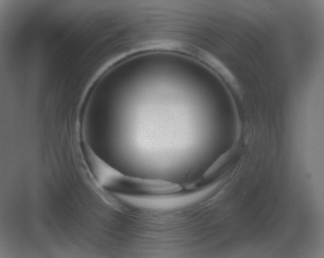X0000083021332200702091307