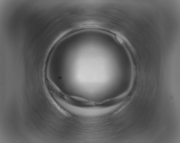 X0000083021333200702091307