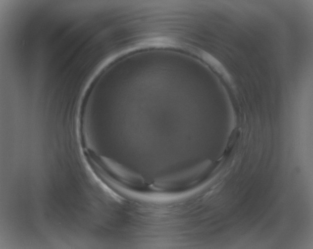 X0000083021334200702091307