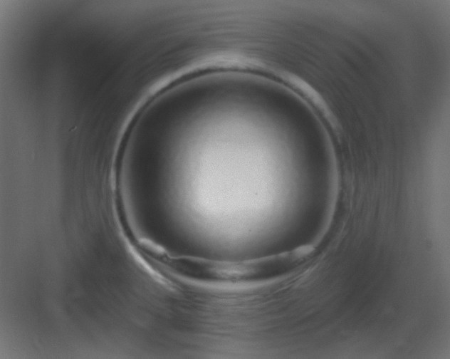X0000083021335200702091307