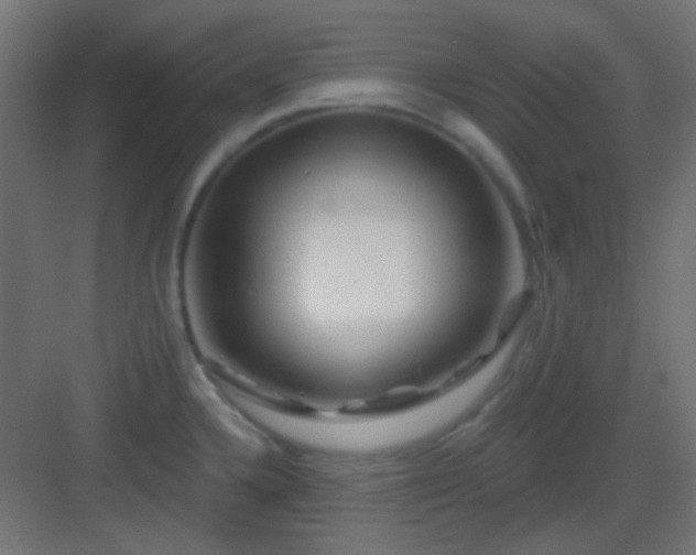 X0000083021336200702091307