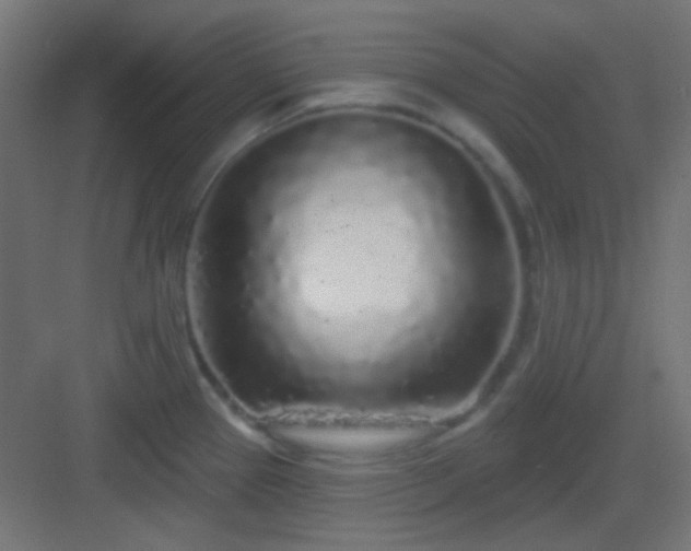 X0000083021337200702091307