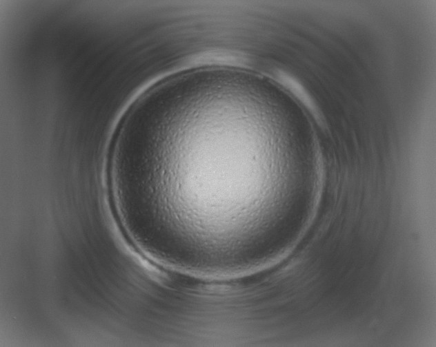 X0000083021339200702091307