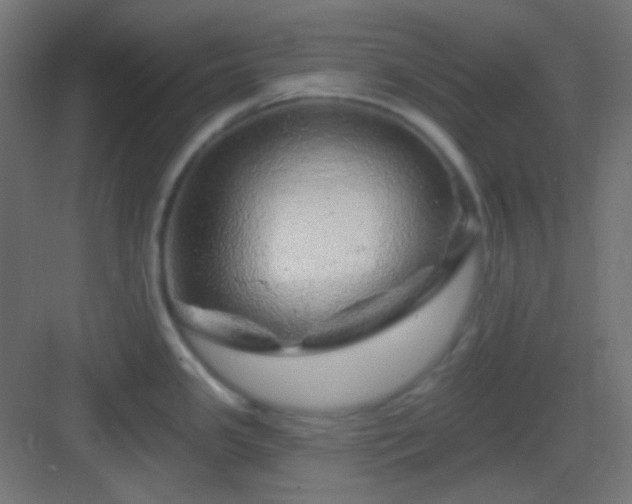 X0000083021341200702091307