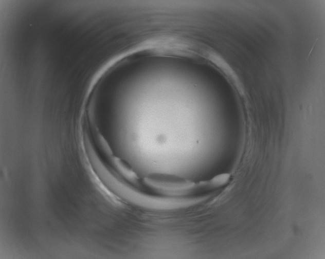 X0000083021344200702091307