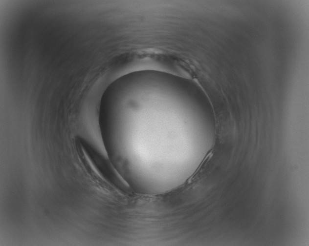 X0000083021345200702091306