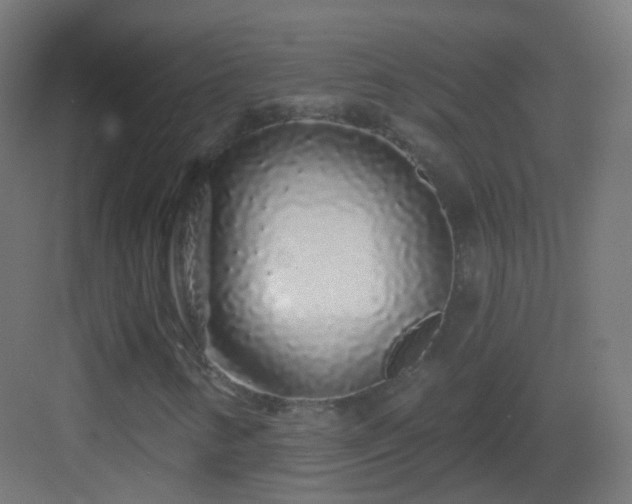 X0000083021346200702091306