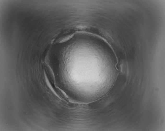 X0000083021347200702091306