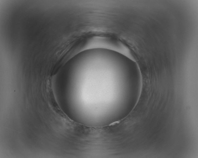 X0000083021349200702091306