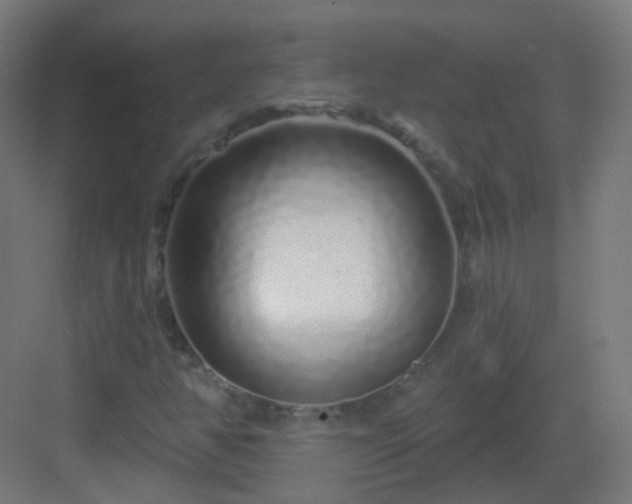 X0000083021350200702091306