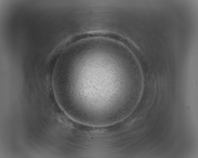 X0000083021351200702091306