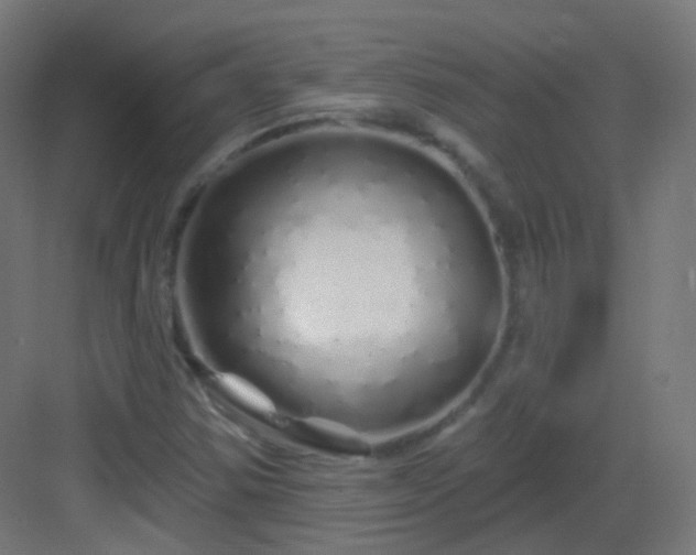 X0000083021354200702091306