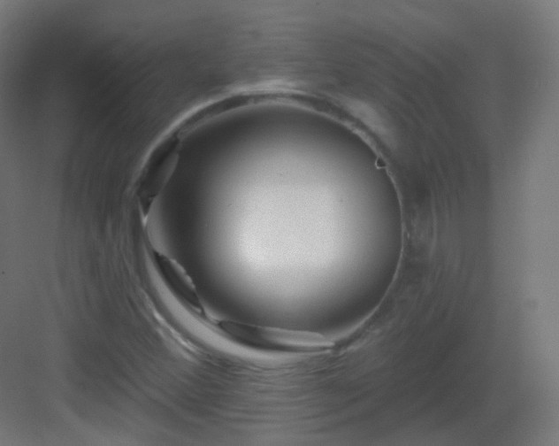 X0000083021356200702091306